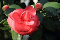 四季折々の風景